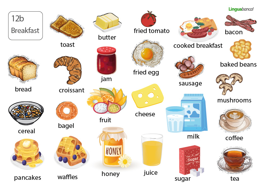 breakfast vocabulary drinks toast free materials